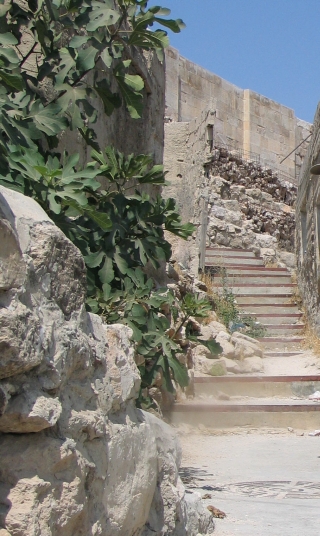 stairs