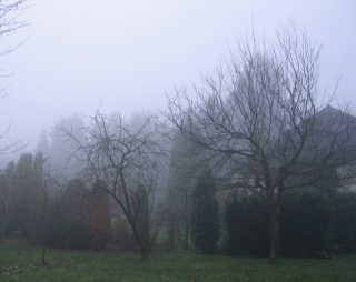 fog