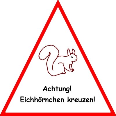 squirrel