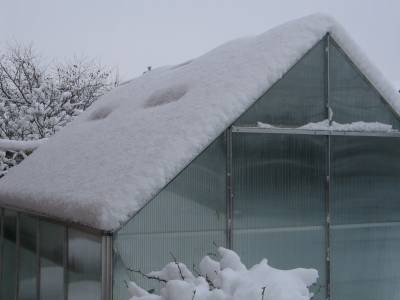 the greenhouse