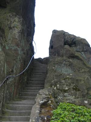 steps