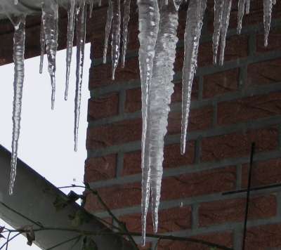 icicles